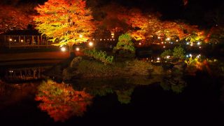 沼津~修善寺 虹の郷 ライトアップ