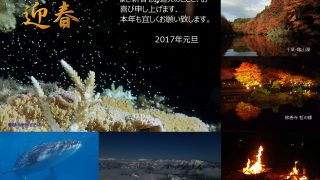 あけましておめでとうございます