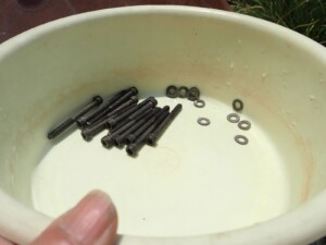 一晩クエン酸に漬けた 一晩クエン酸に漬けた