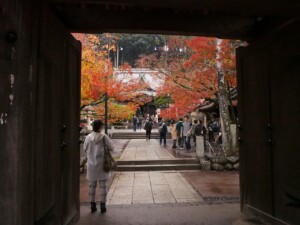 修禅寺正門から