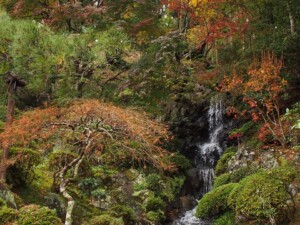 修禅寺庭園　内部