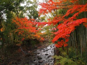 修禅寺　楓橋