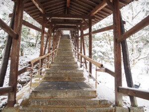 雪の高台寺 臥龍廊 雪の高台寺 臥龍廊