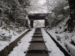 雪の高台寺 台所坂 雪の高台寺 台所坂