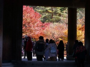 南禅寺三門から 南禅寺三門から