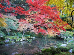 南禅院 庭園 南禅院 庭園