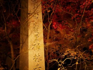 永観堂 ライトアップ 永観堂 ライトアップ