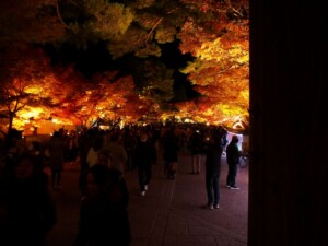 永観堂 拝観券購入前 永観堂 拝観券購入前