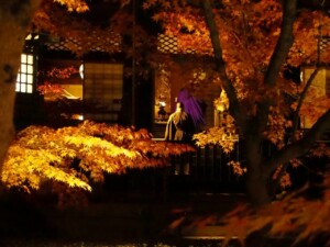 永観堂 ライトアップ2 永観堂 ライトアップ2