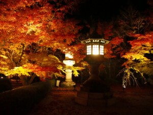 永観堂 ライトアップ3 永観堂 ライトアップ3