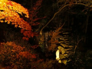 永観堂 ライトアップ4 永観堂 ライトアップ4