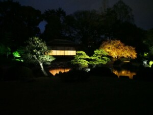 庭園ライトアップ 庭園ライトアップ
