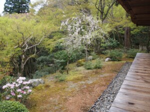 石水院庭園 石水院庭園